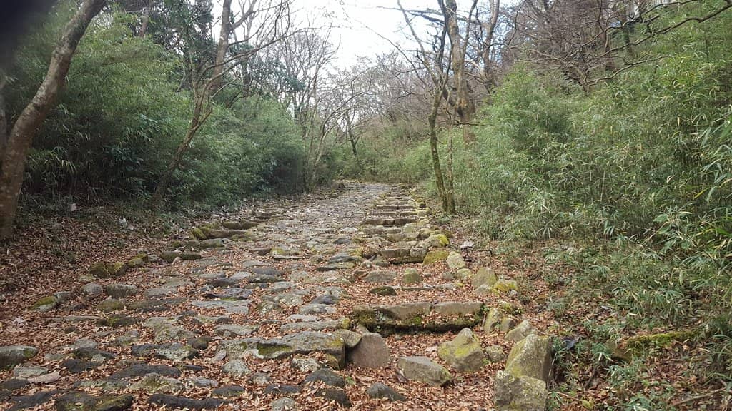Ancient Stone-Paved Path