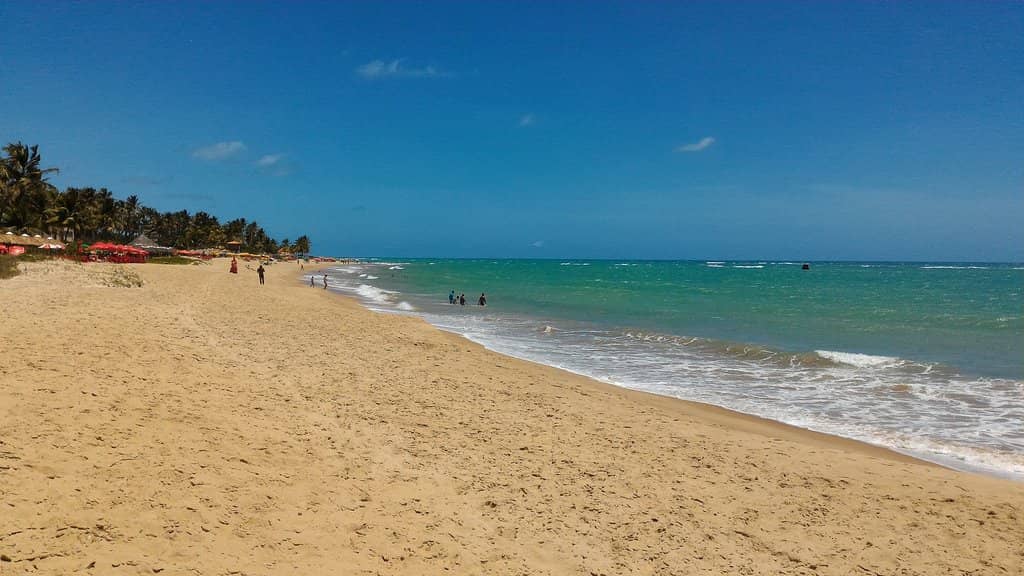 Beachfront Bars & Cuisine