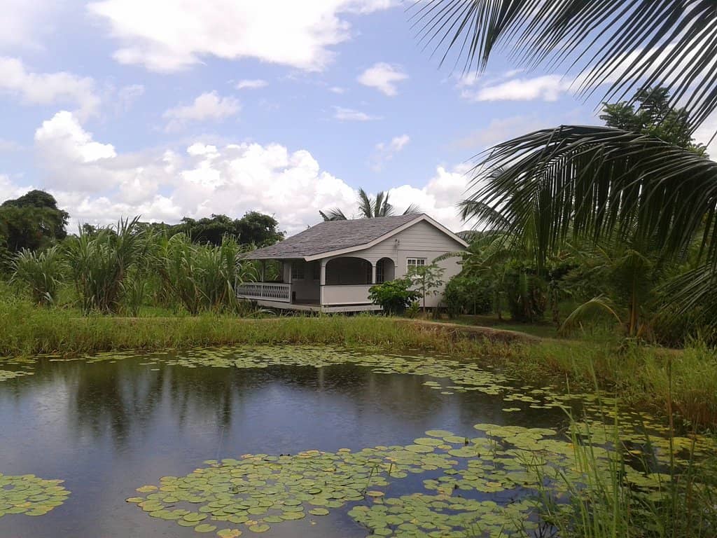 Historic Plantation