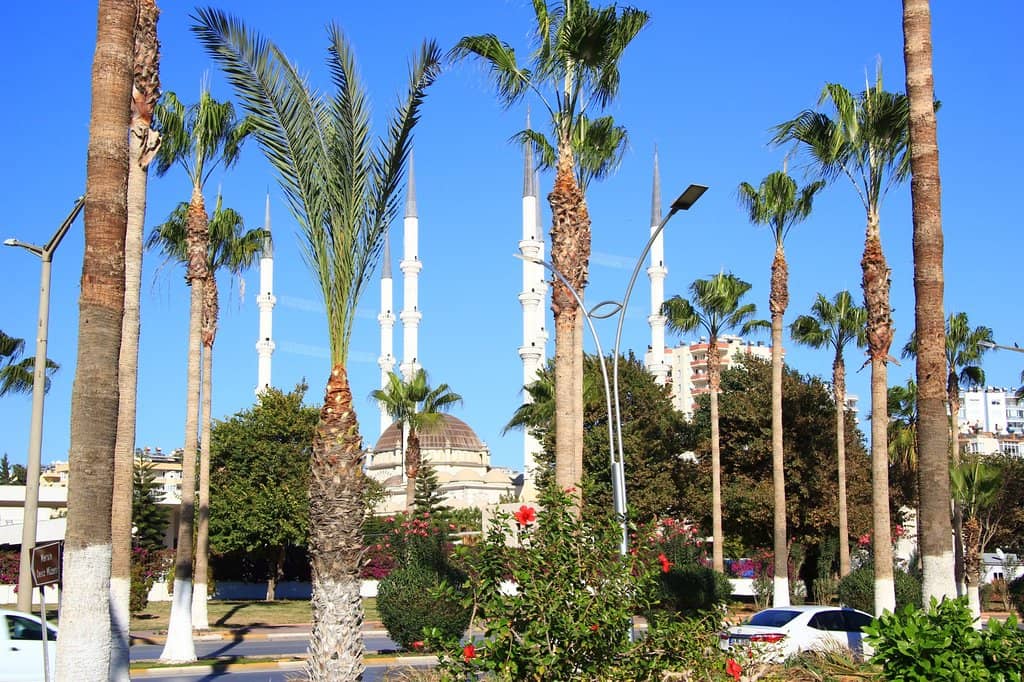 Spacious Prayer Hall