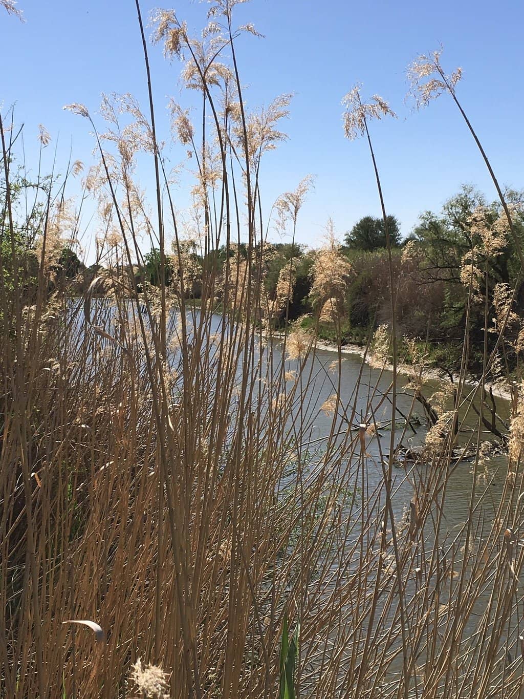 Riverside Relaxation