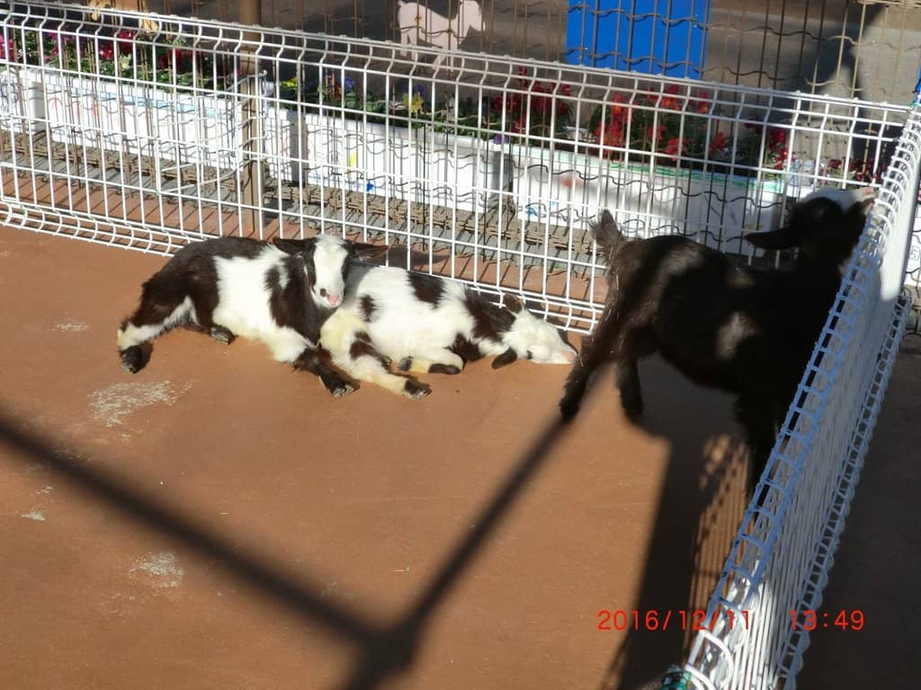 Indoor Play & Learning