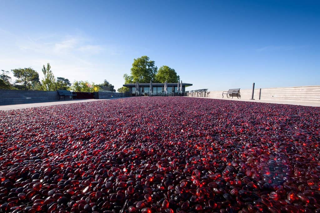 Vineyard Views & Rooftop Terrace