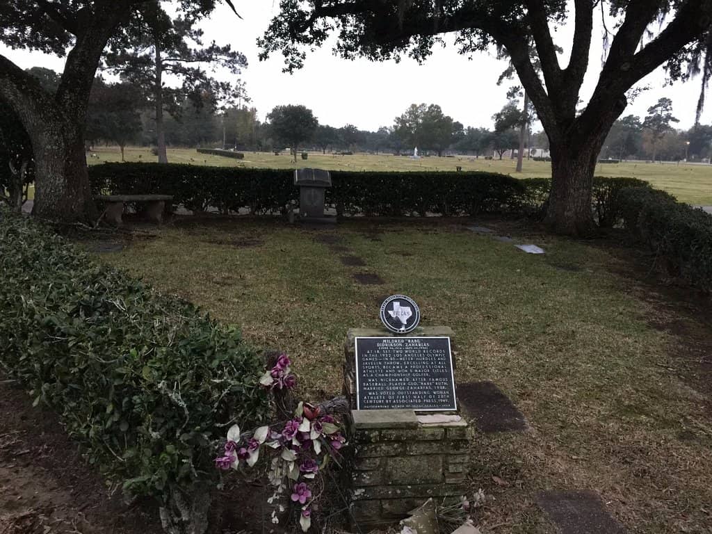 Static Display Airplane