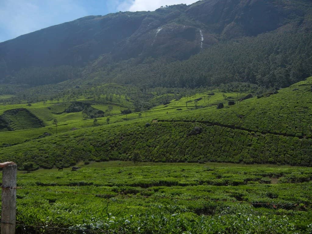 The Heart-Shaped Gap