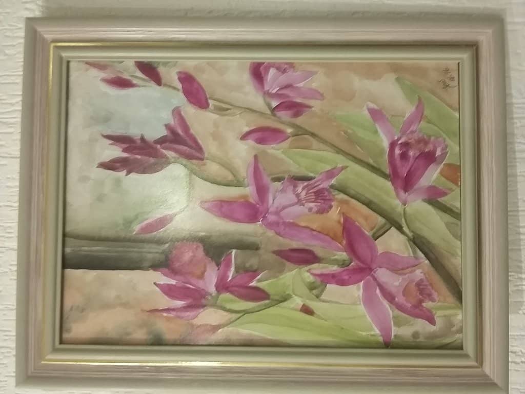 Jorge Amado Exhibitions