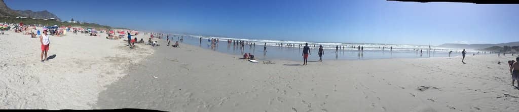 Whale Watching Spot