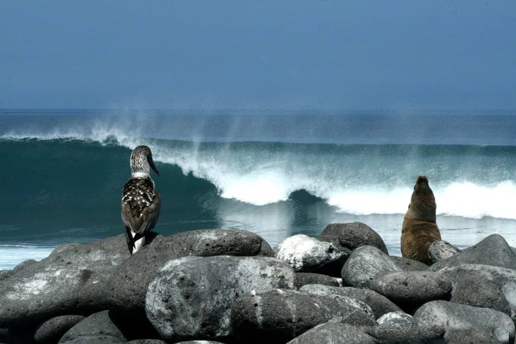 Vertical photo