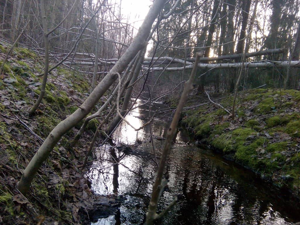 Scenic Lake Views