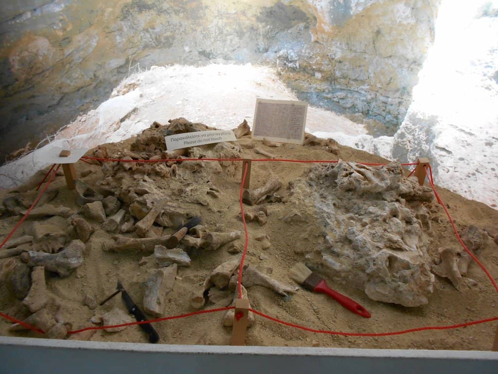 Pottery Evolution Exhibit