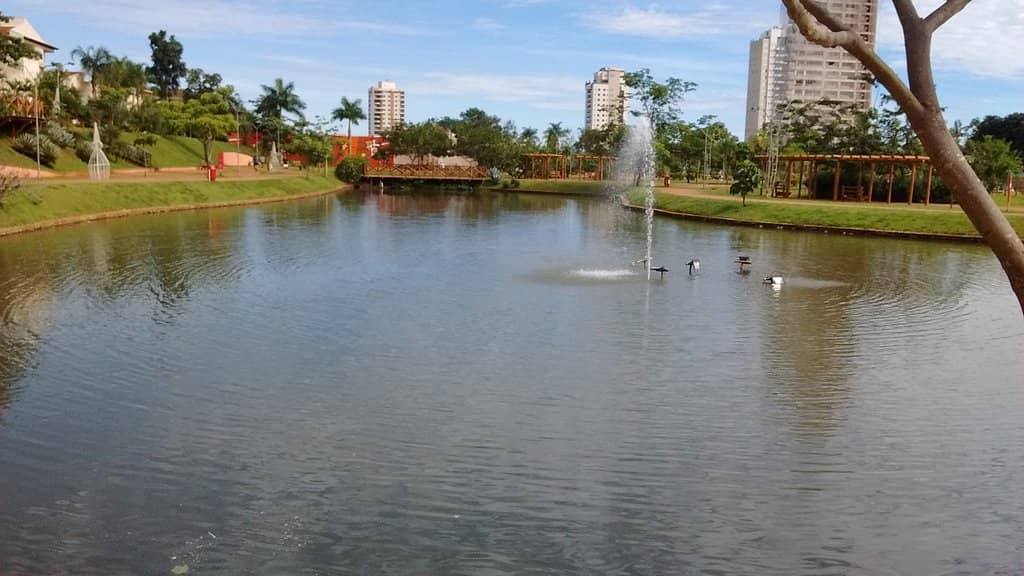 Photography Opportunities