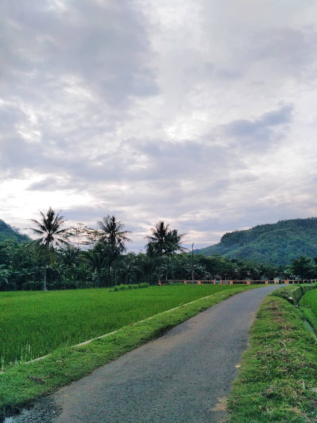 Scenic Natural Landscape