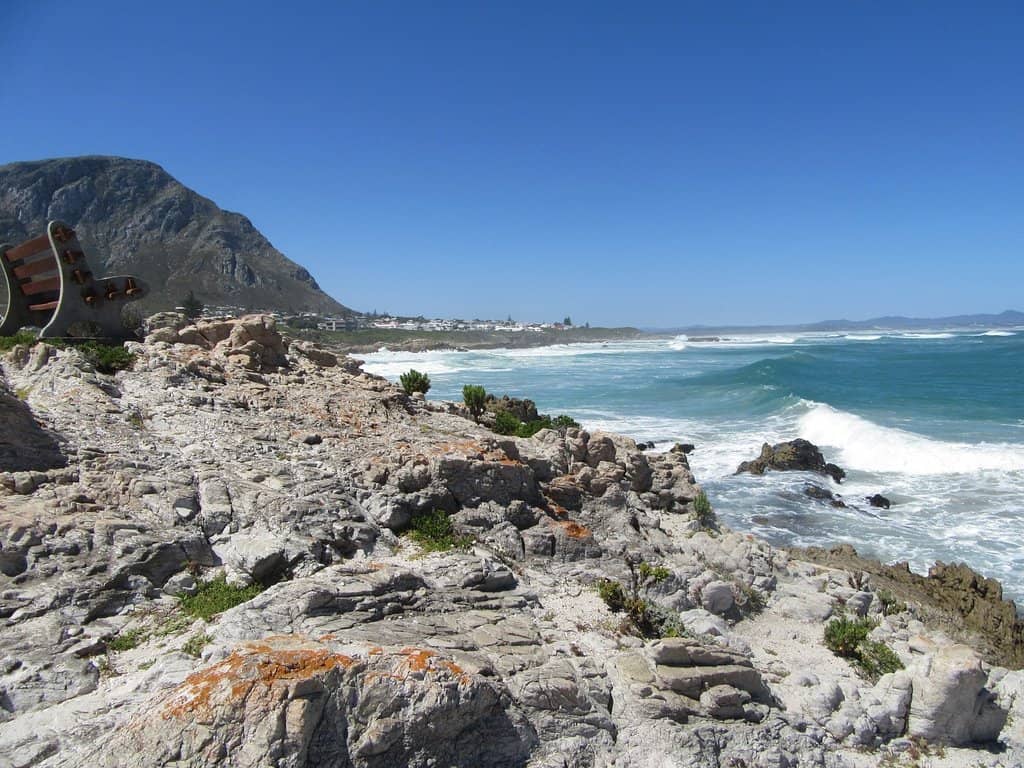 Whale Museum Exhibits