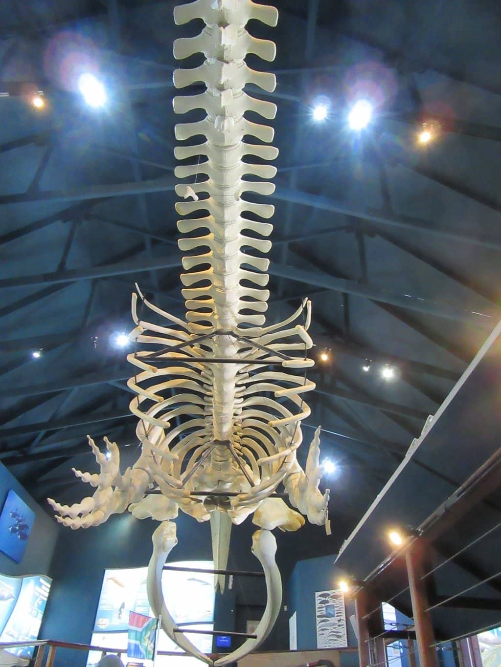 Scenic Old Harbour Views