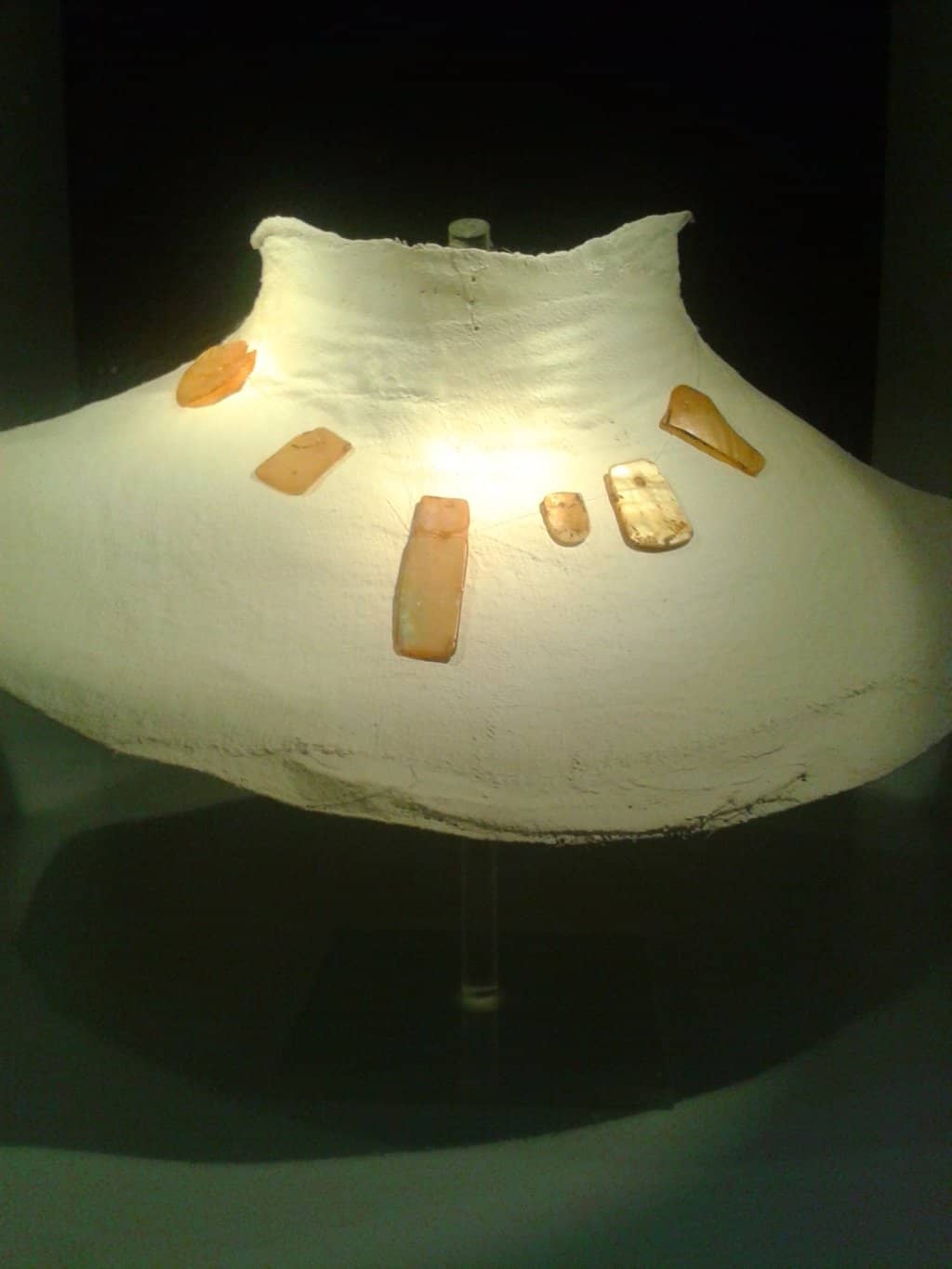 Archaeologist's Field Notes Wall