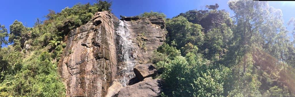 The 'Y' Shaped Double Fall