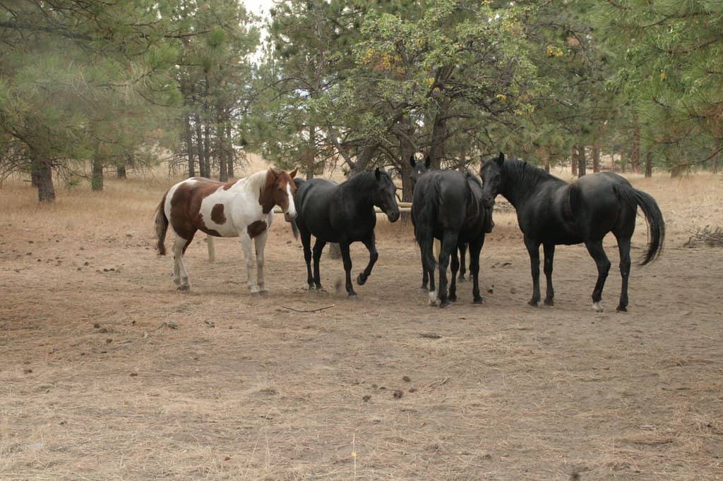 Scenic Hiking Trails