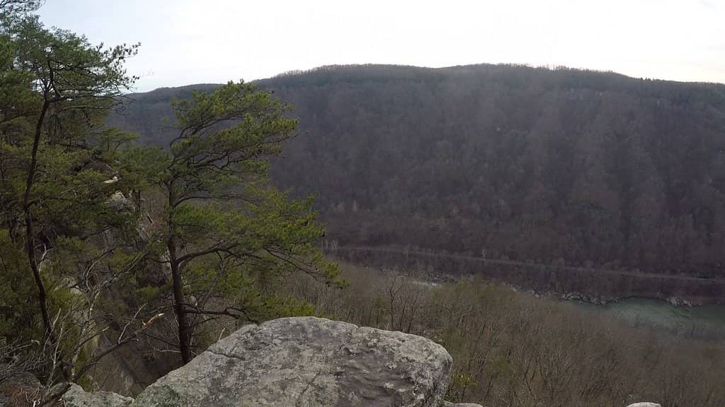 Trail Ladders