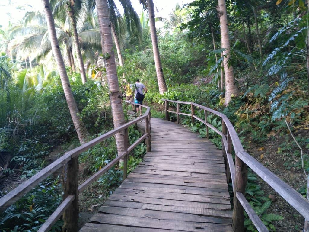 Vertical photo