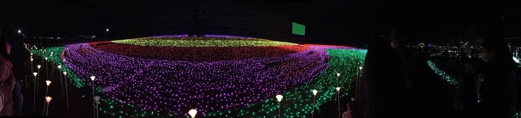 Kawasemi Roller Coaster