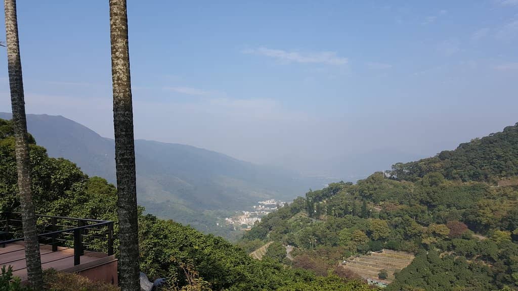 Conservation & Education