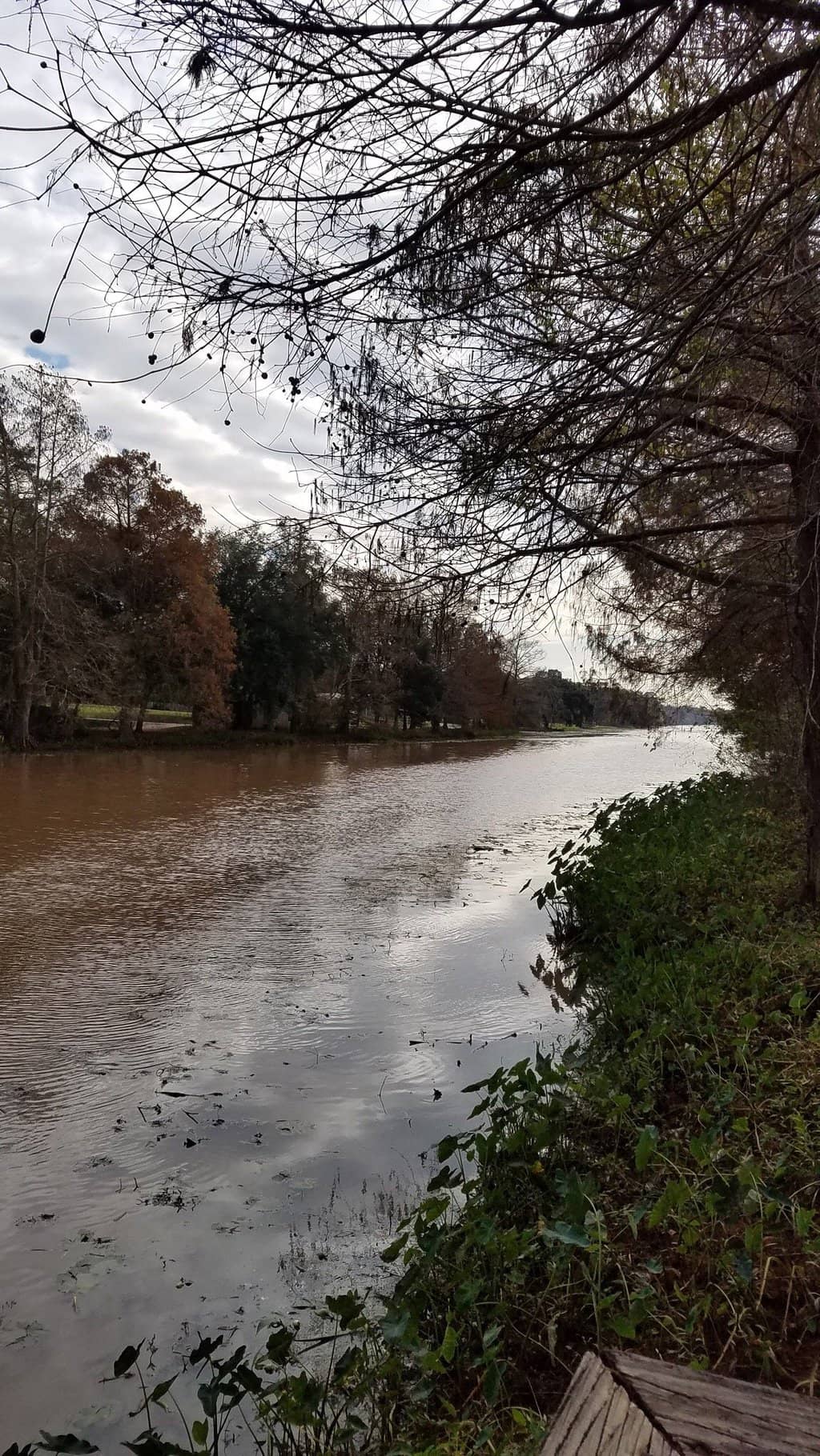 Acadian History Museum
