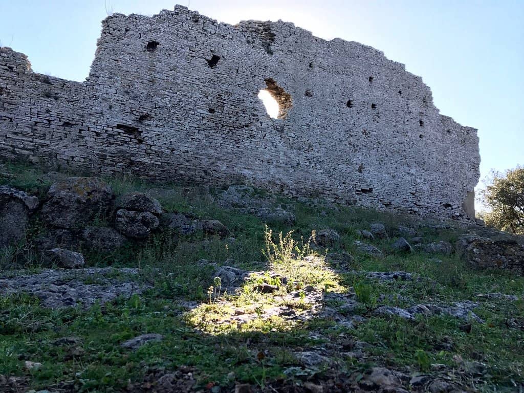 Roman Forum & Temple