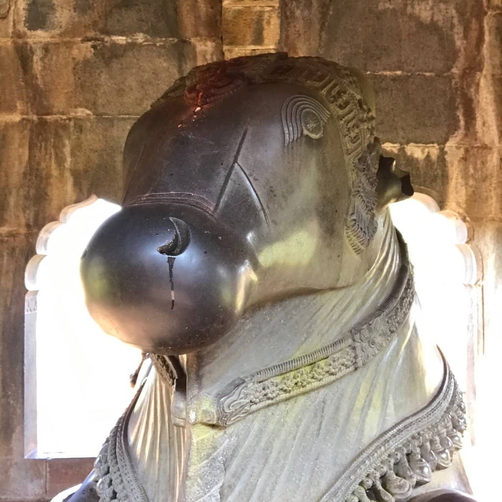 Third hero image