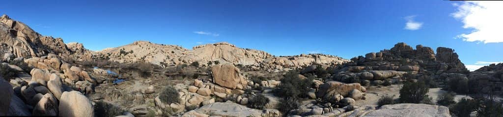 Fairy Shrimp Puddles