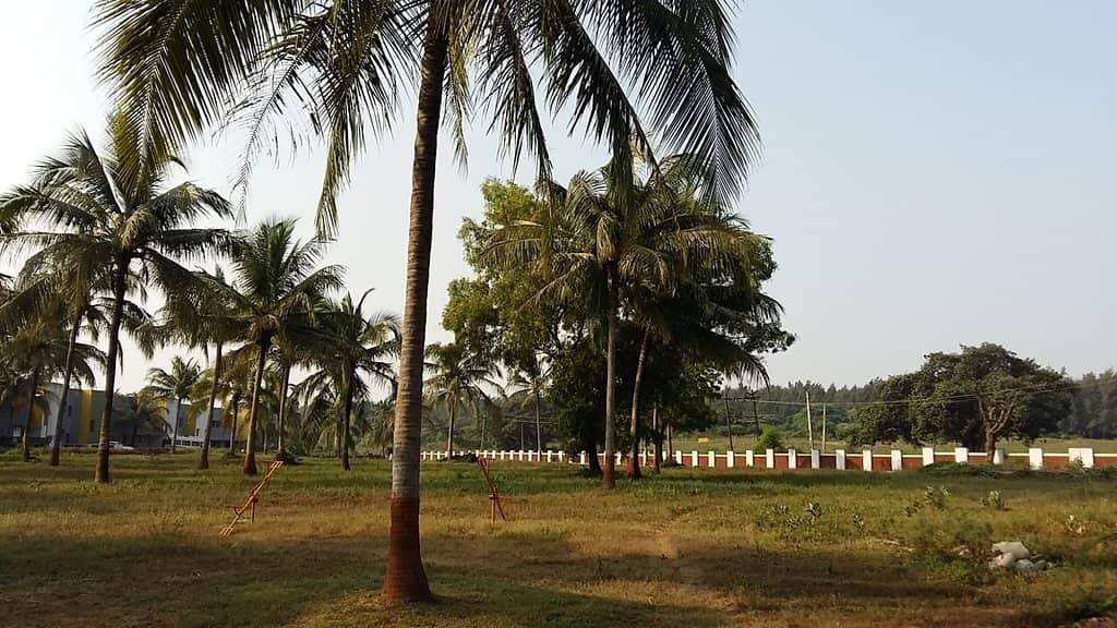 Stunning Sunset Views