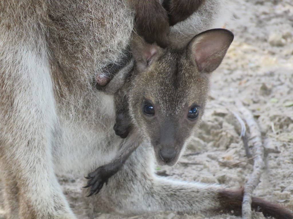 Bakers Point Coastal Charm