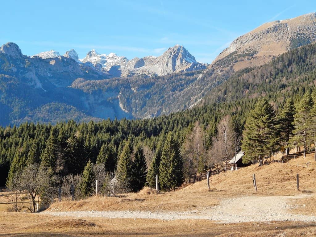 Panoramic Alpine Vistas