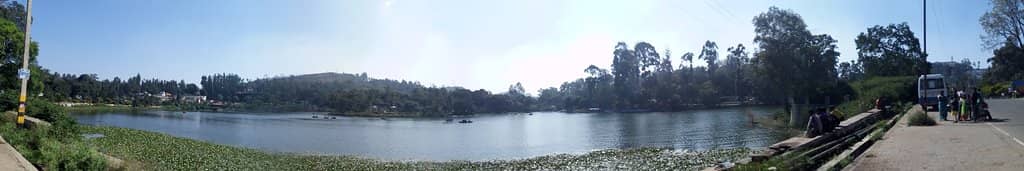 Adjacent Park Fun