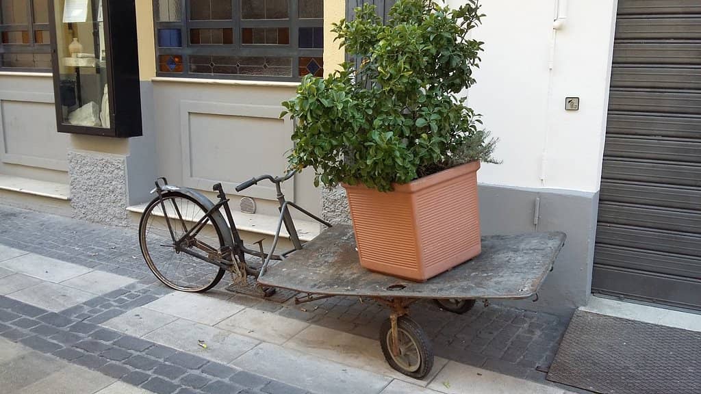 Gabriele D'Annunzio's Childhood Home