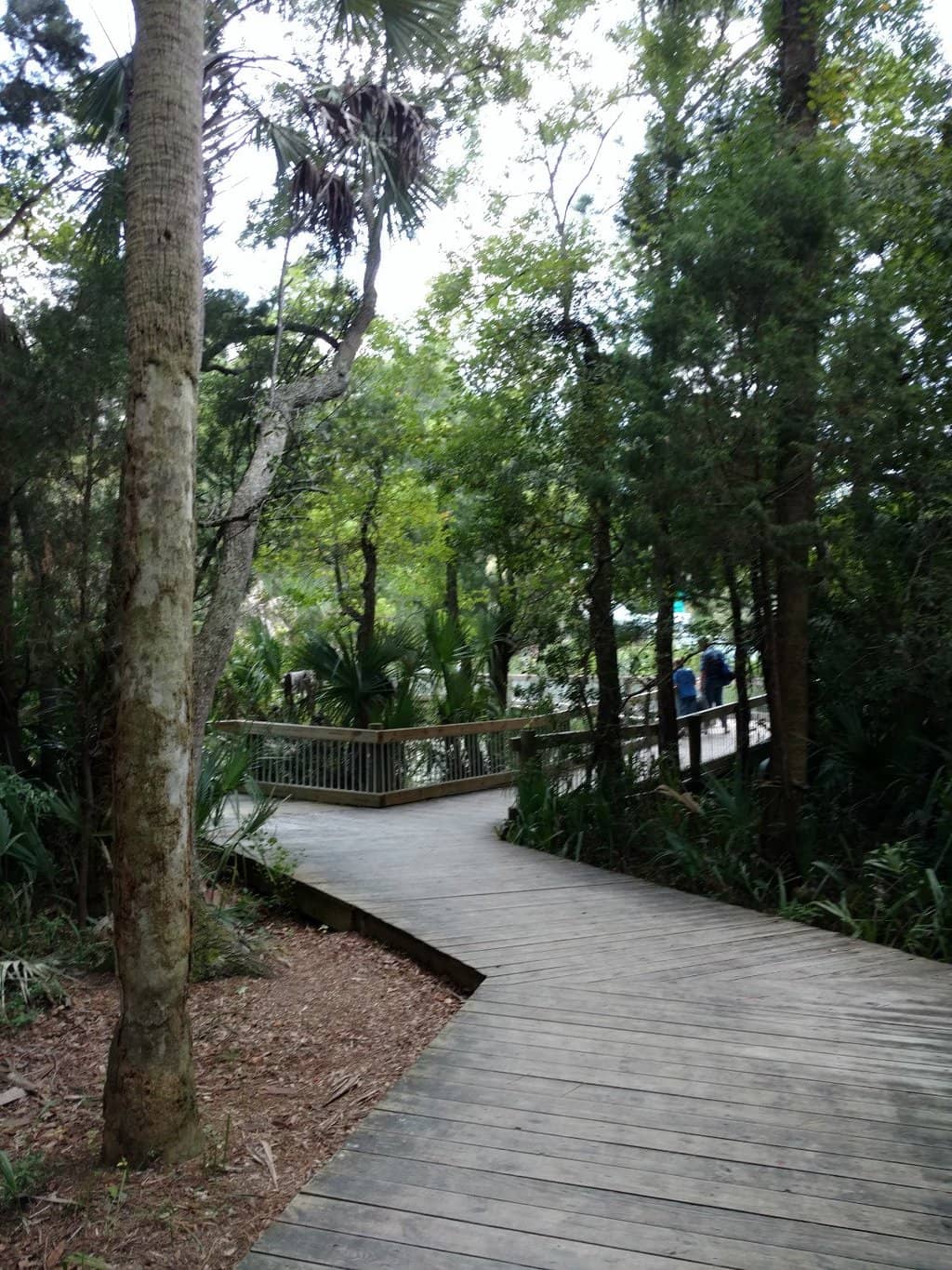 Toddler-Friendly Splash Pad
