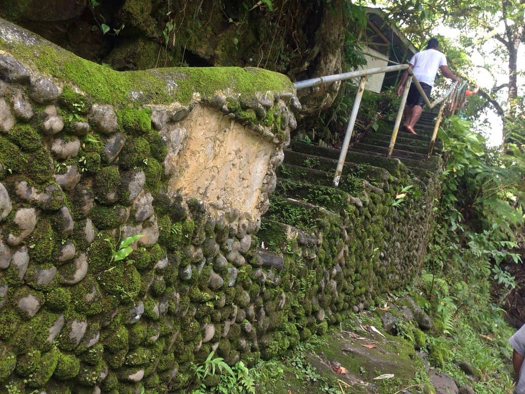 Vertical photo