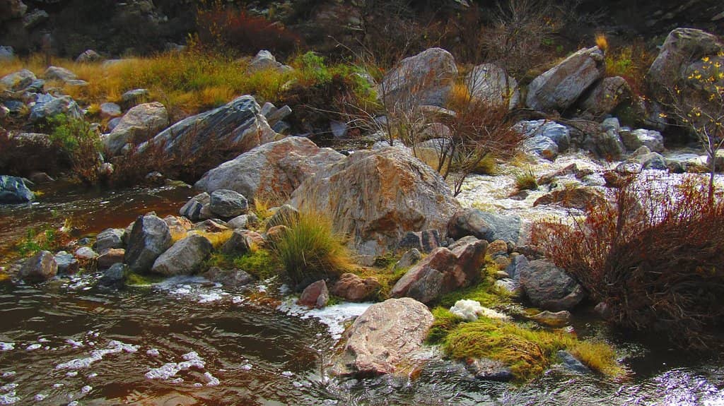 The Cascading Falls