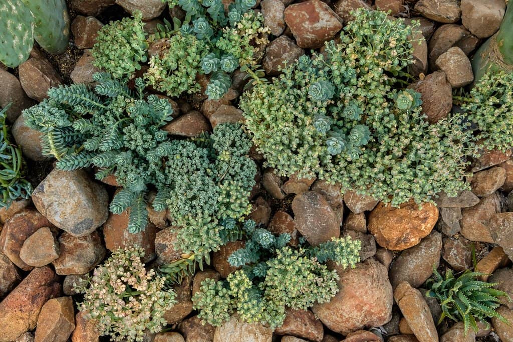 Luxurious Accommodation