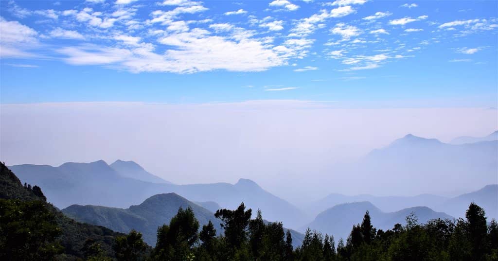 Misty Mountain Mystery