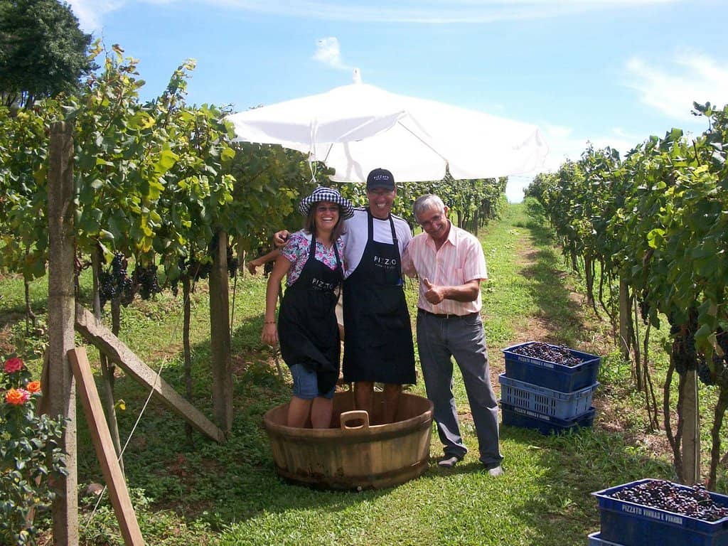 Unique Semillon Wine