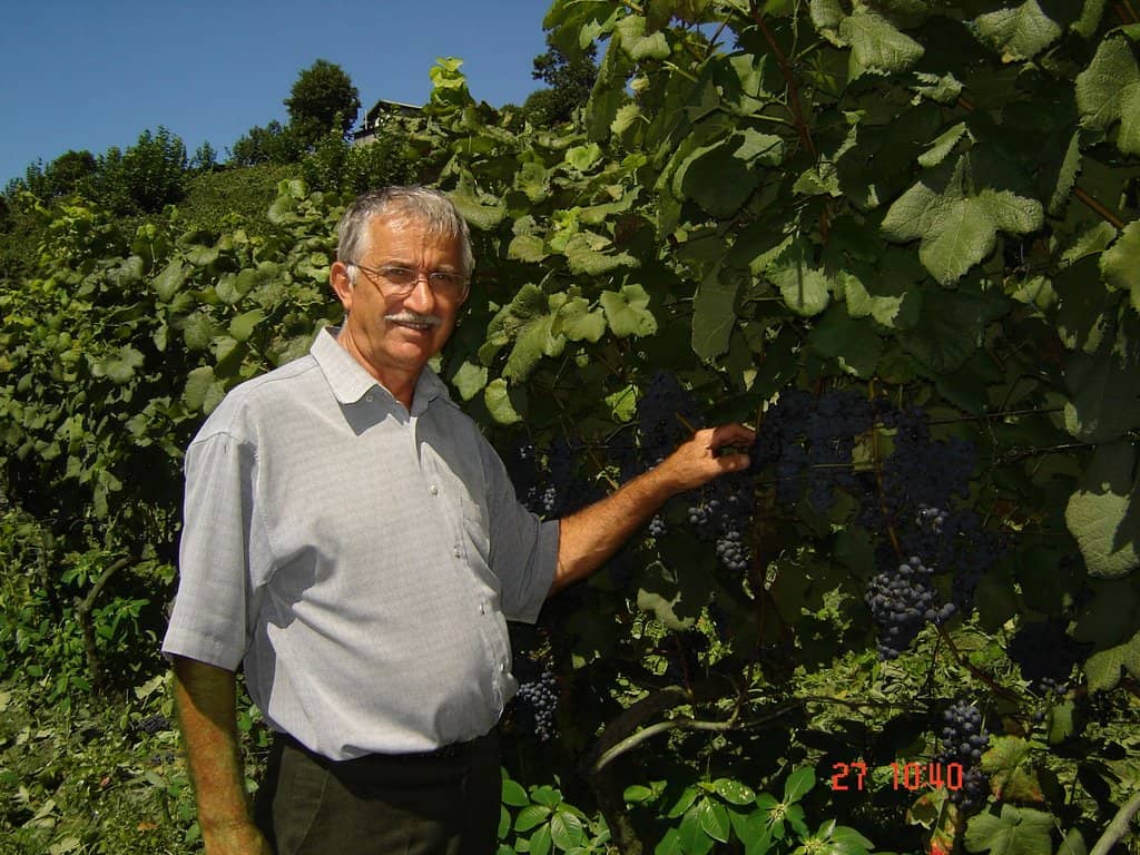Over-the-Counter Wine Tasting