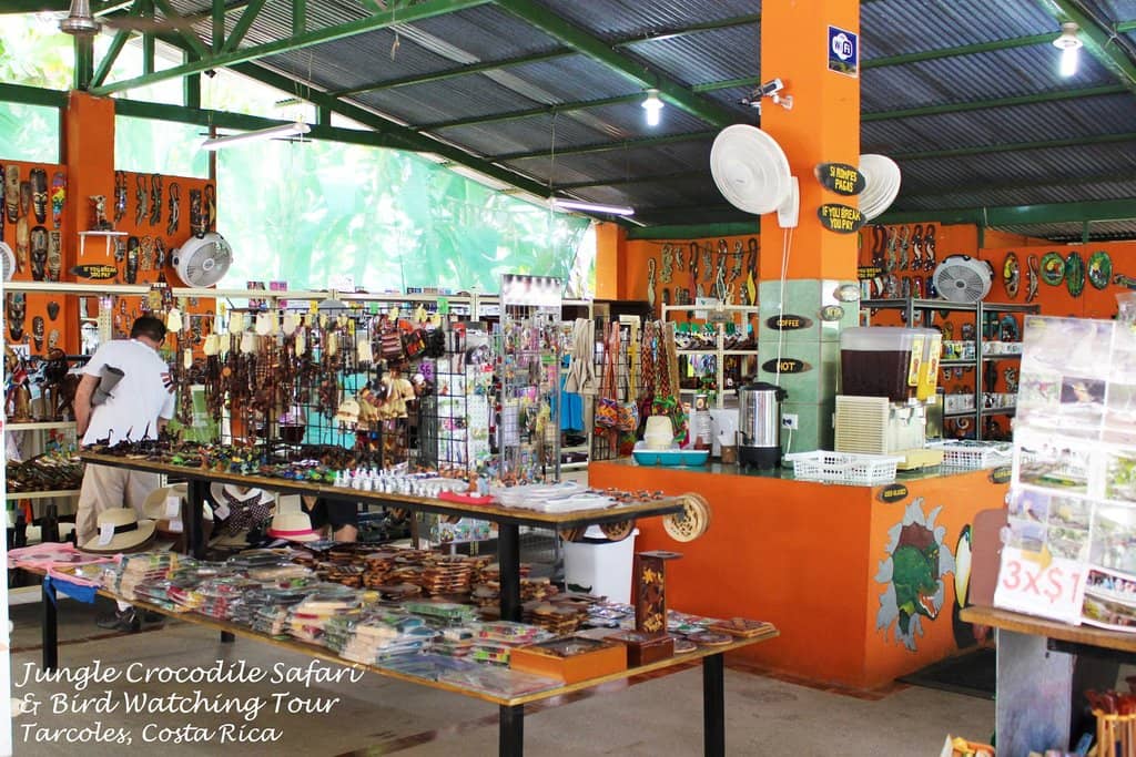 Close-Up Animal Encounters