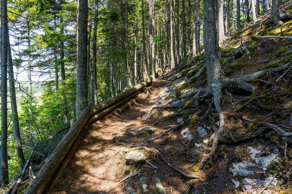 Woodland Trails