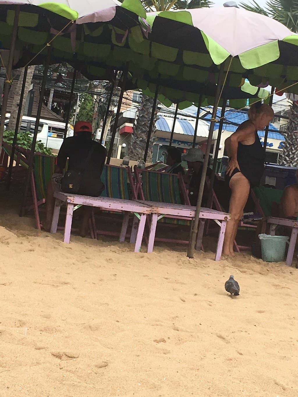 Long, Serene Shoreline