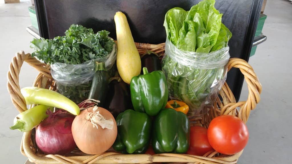 Live Music & Food Trucks