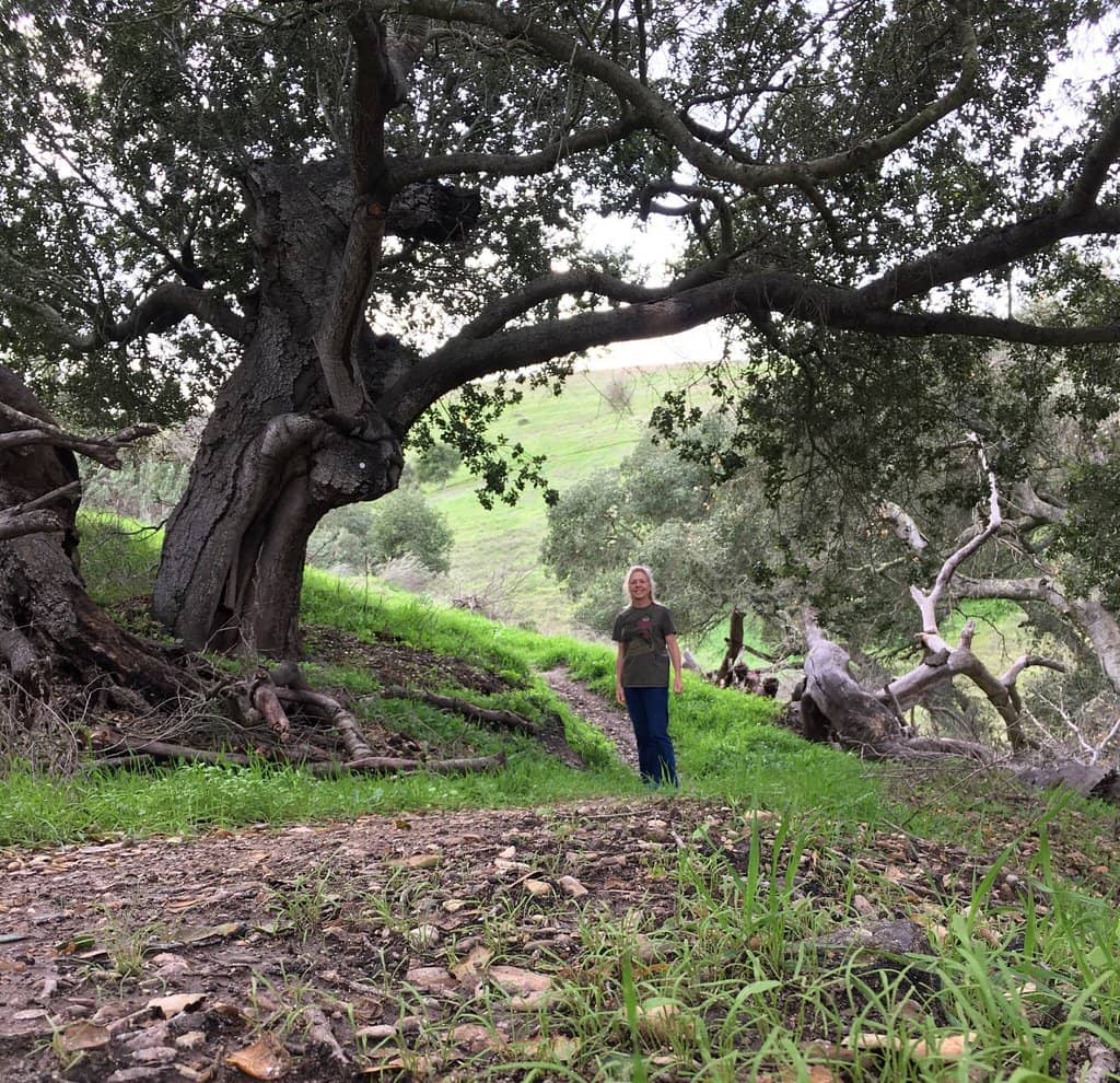 Scenic Hiking Paths