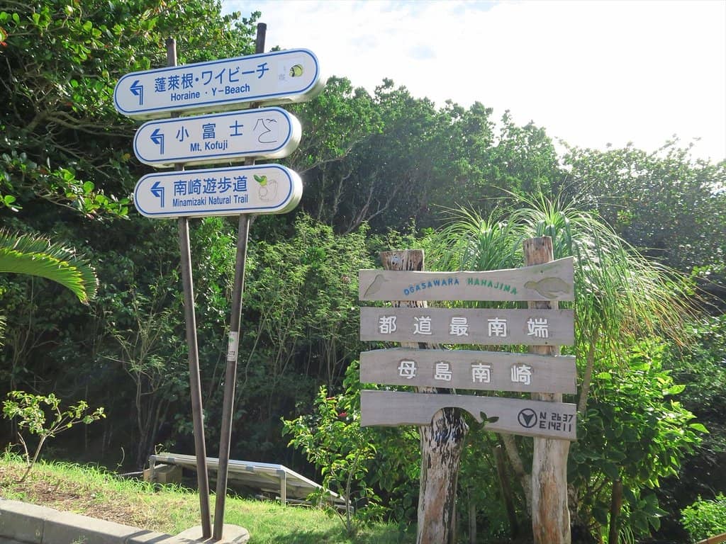 Jungle-Like Promenade