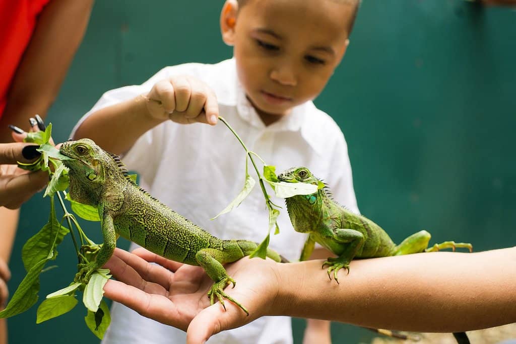 Educational Insights