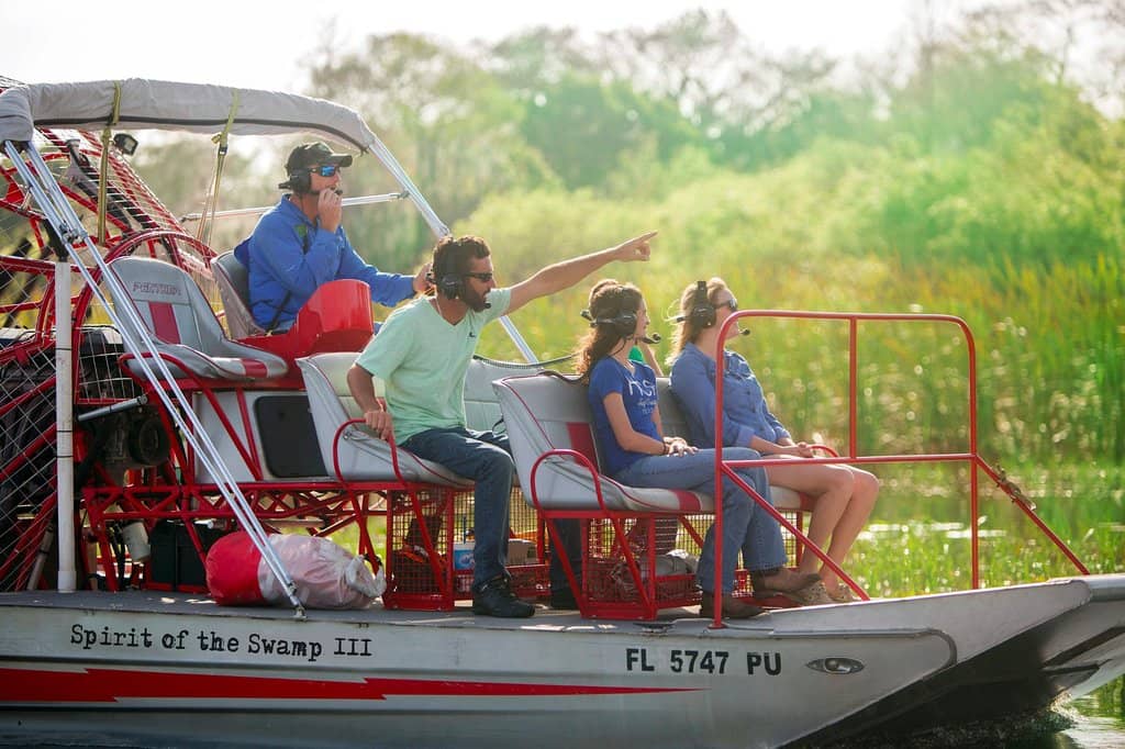 Diverse Wildlife Spotting