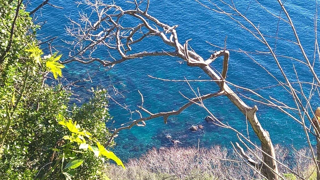 Untamed Natural Environment